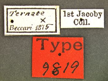 Media type: image; Entomology 9819   Aspect: labels